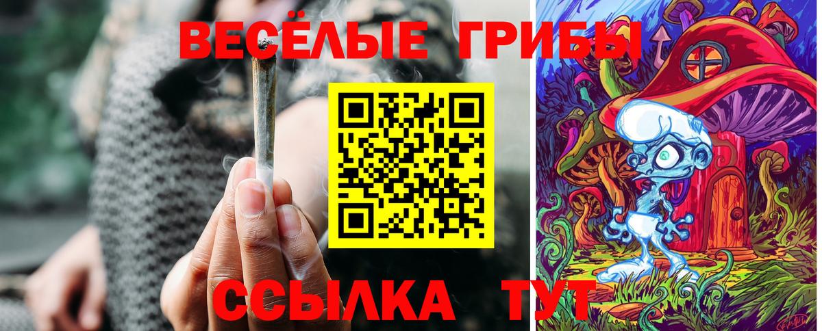 купить наркотики сайты  Галлюциногенные грибы прущие грибы  Галлюциногенные грибы мицелий  Вход с VPN  Шарыпово 